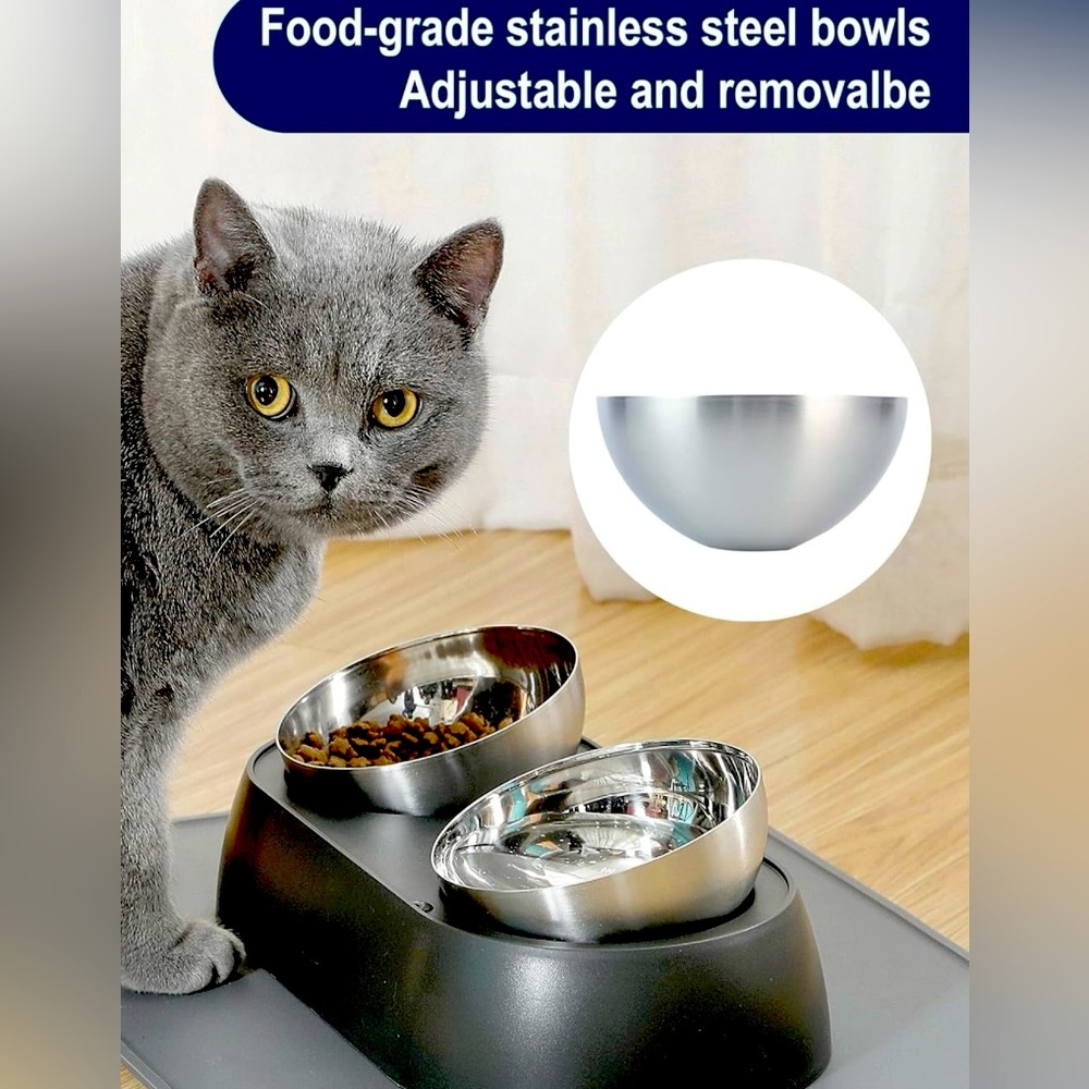 Dog or Cat bowels. Stainless steal w/ mat and scoop.